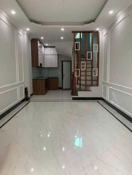 Bán nhà cạnh UB xã Tân Lập, Đan Phượng. Lô góc 31m2 mặt đường Ôtô tránh kinh doanh sầm uất 2