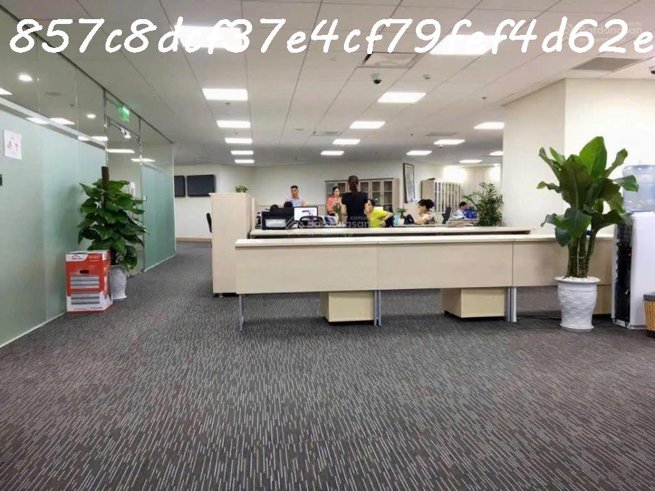 AI Bán nhà 228m² Lý Thường Kiệt, Tân Bình, 90 tỷ, sổ đỏ 3