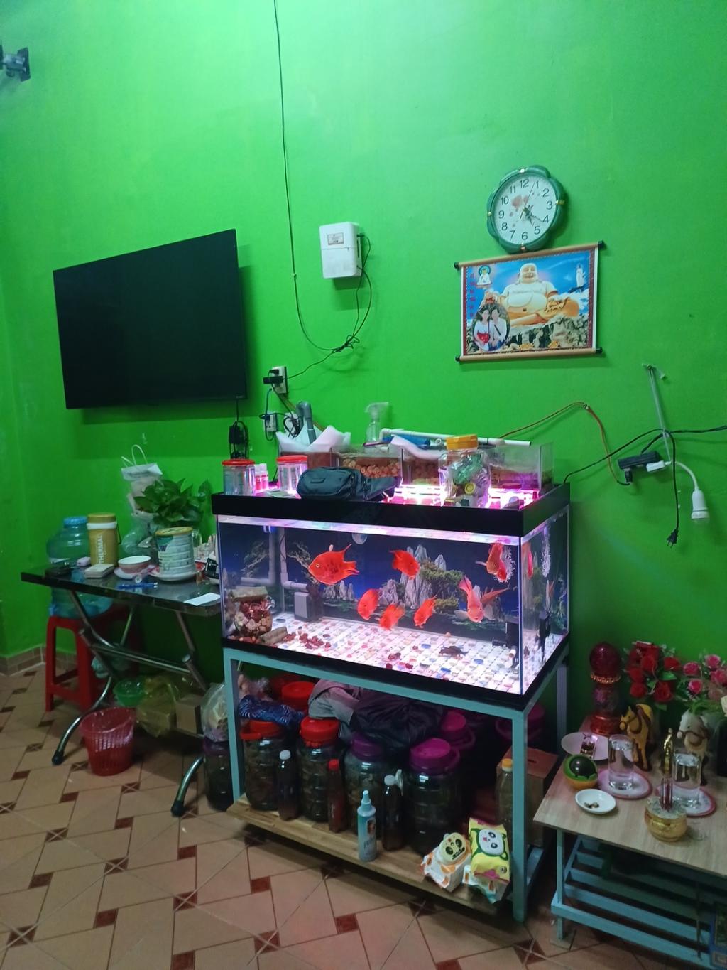 KẸT TIỀN BÁN NHÀ GIÁ RẼ,LƯU HỮU PHƯỚC, DT: 56M2 (4M X 14M) X 2T CHỈ 3 TỶ