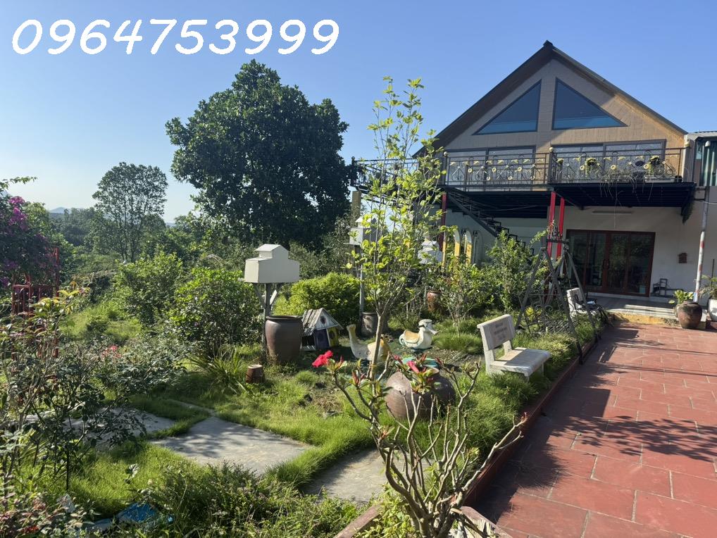 CẦN BÁN GẤP NHÀ NGHỈ DƯỠNG TÂM HUYẾT TẠI ĐÔ LƯƠNG, SÓC SƠN – DIỆN TÍCH 1.440M² 2