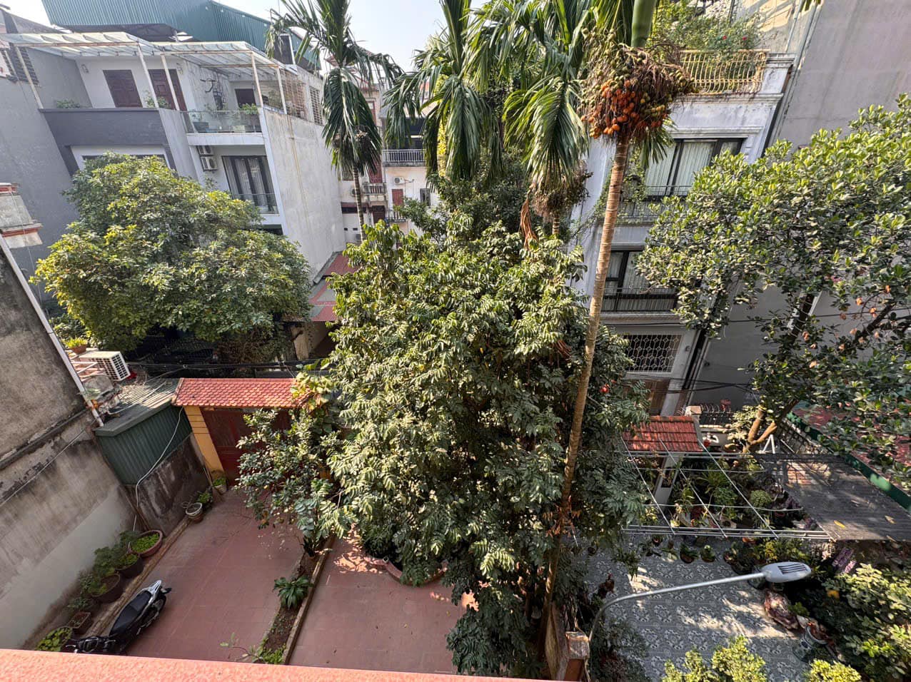 Mặt Phố Vũ Miên 115M2 65 Tỷ Lô Góc 3 Thoáng View Hồ Mặt tiền đẹp 3