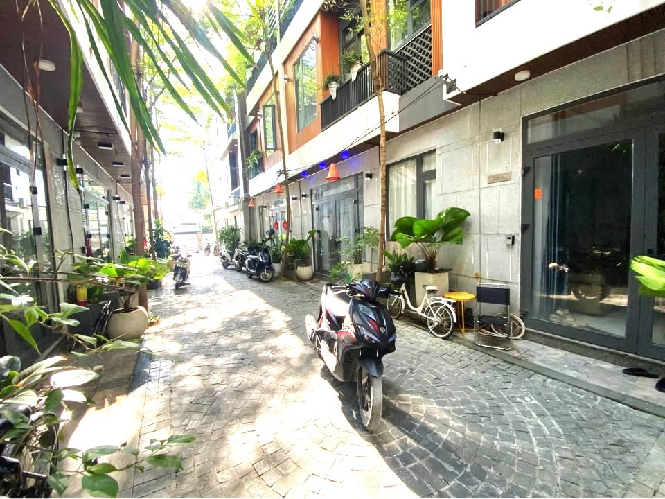 Nhà 3 tầng mới 100%, kiệt ô tô Trần Cao Vân, thiết kế hiện đại xanh mát 4
