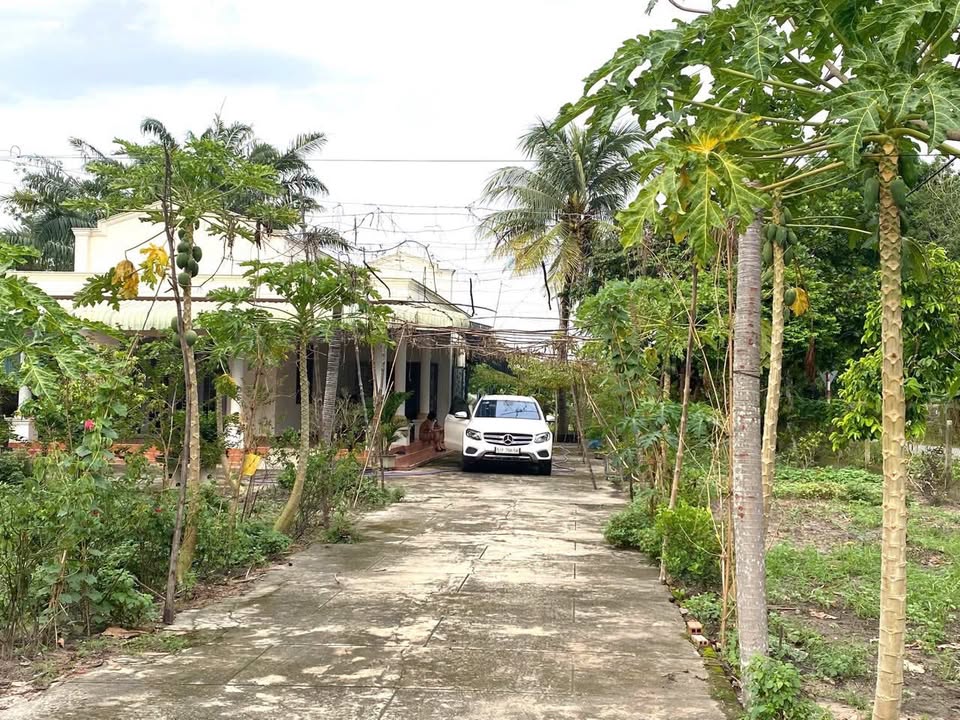5000m2 đất góc 2 mặt tiền đường Nguyễn Thị Rành, xã Nhuận Đức giá 30 tỷ 2