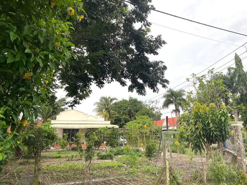 5000m2 đất góc 2 mặt tiền đường Nguyễn Thị Rành, xã Nhuận Đức giá 30 tỷ 3