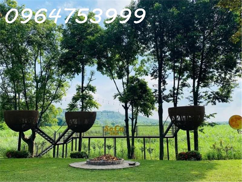 TỔ HỢP NGHỈ DƯỠNG CAO CẤP SOCA VILLA – BA VÌ