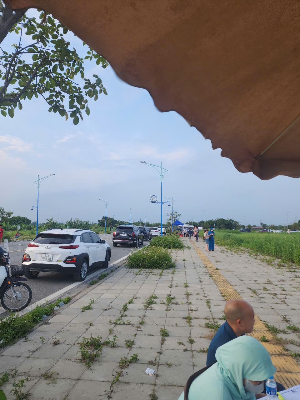 Bán đất đấu giá phường Việt Hòa, Hải Dương giá từ 2ty350, hot nhất hiện tại 5