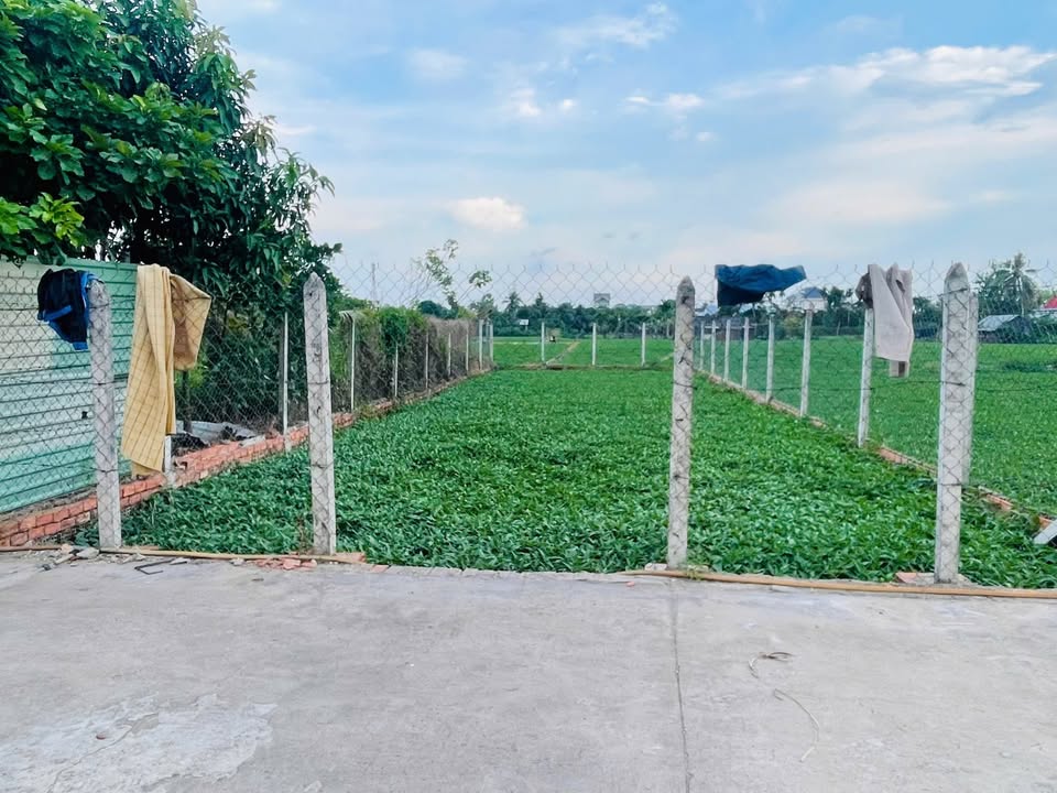 Cần bán Đất Xã Bình Mỹ, Củ Chi, Diện tích 152m², Giá 580 Triệu/m² 2