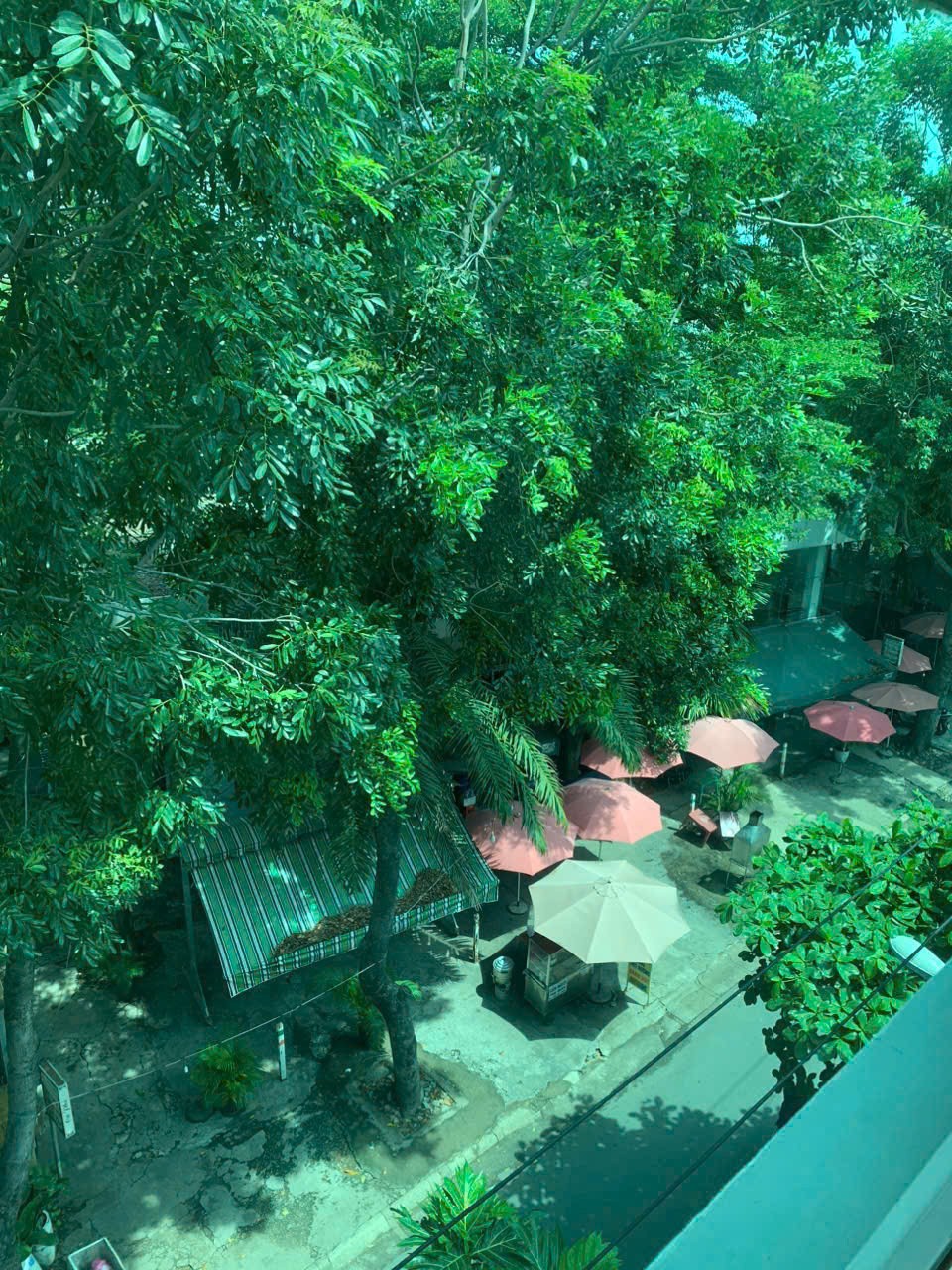 Cho thuê Nhà mặt tiền Phường Phước Bình, Quận 9, Diện tích 64m², Giá 21 Triệu/tháng 4