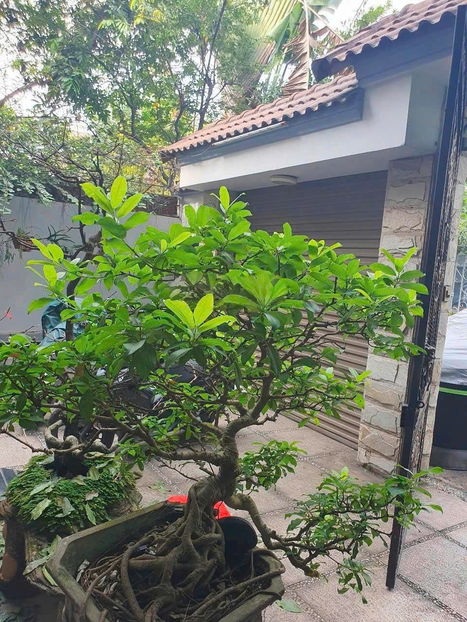 Cần bán Đất Phường Hiệp Bình Chánh, Thủ Đức, Diện tích 280m², Giá 24 Tỷ 2