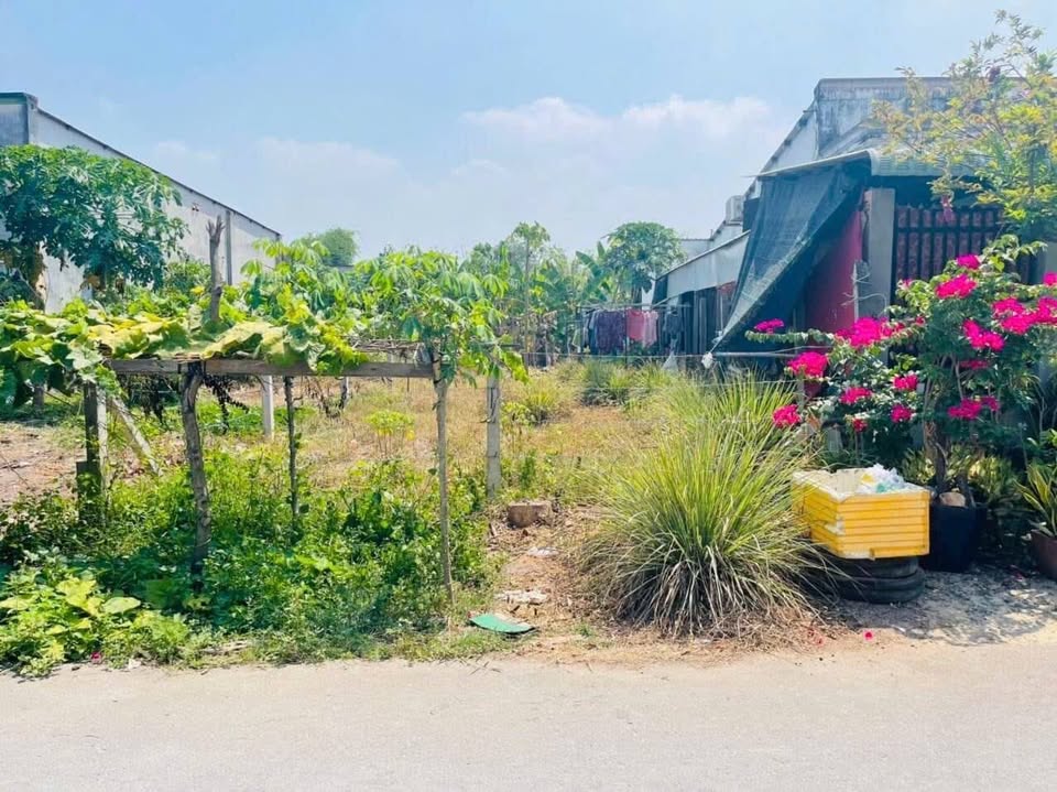 Cần bán Đất đường Quốc Lộ 22, Xã Phước Thạnh, Diện tích 130m², Giá 820 Triệu/m² 2