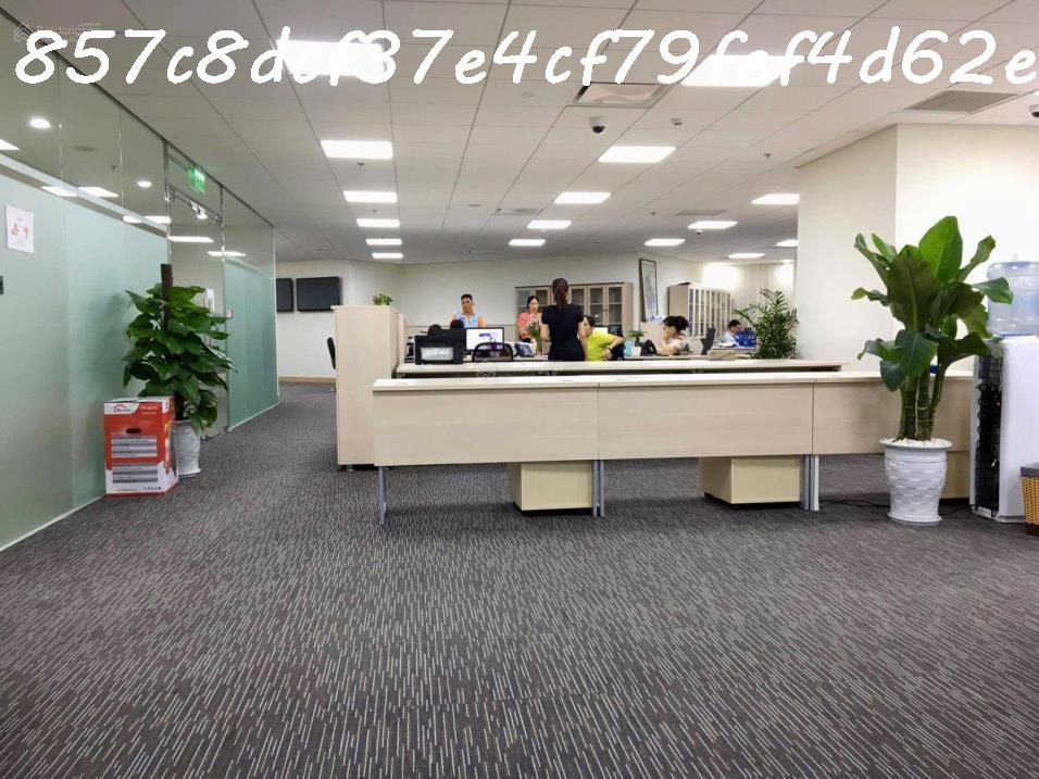 AI Bán nhà 228m² Lý Thường Kiệt, Tân Bình, 90 tỷ, sổ đỏ 5