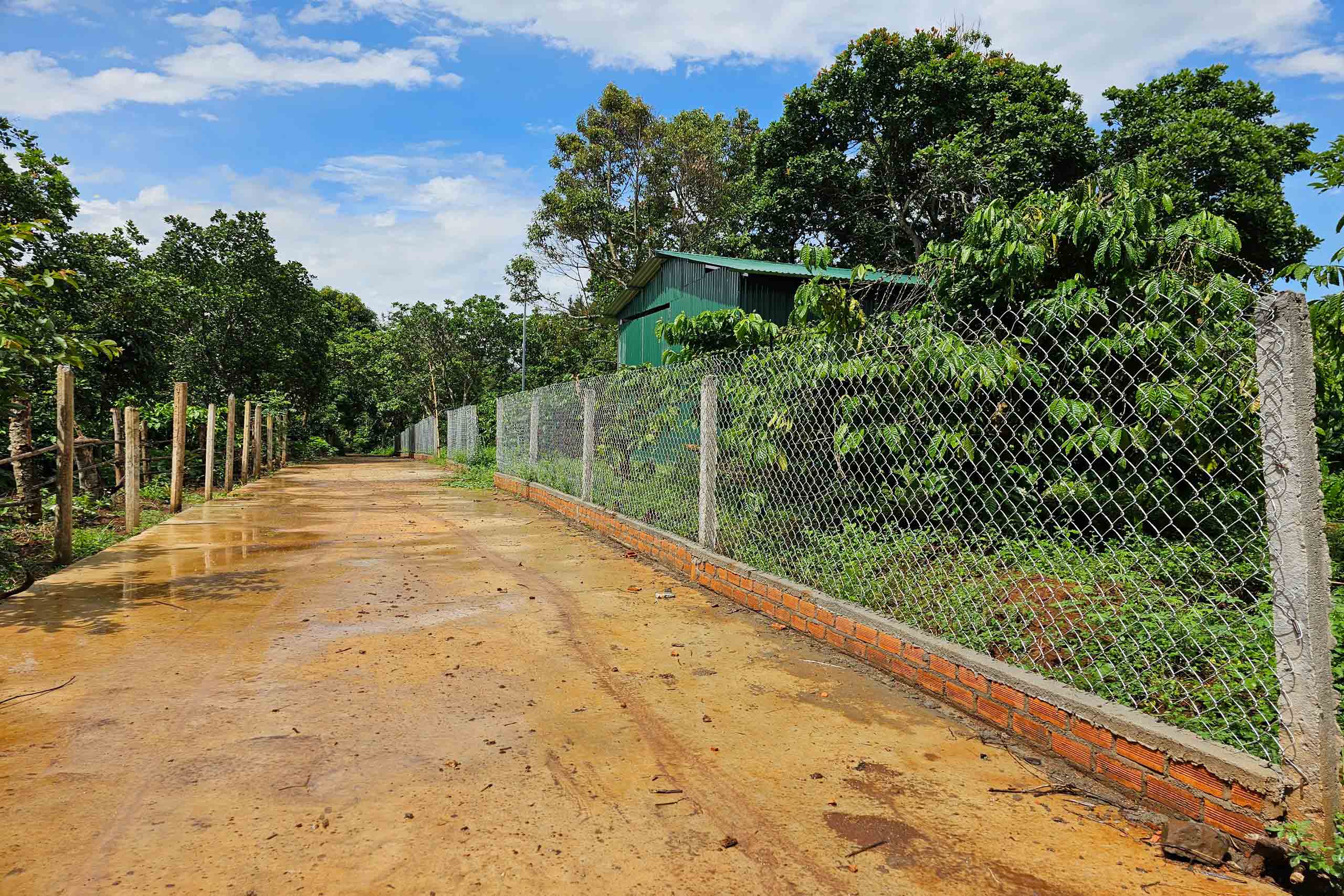 ĐẤT NÔNG NGHIỆP 1.7 HA, EA KAO - BUÔN MA THUỘT  - GIÁ HẤP DẪN 450 TRIỆU/SÀO 5