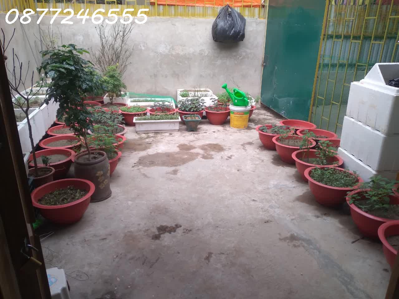 BÁN NHÀ RIÊNG CẤP 4 – NGÕ 1 ĐẠI LINH – GẦN PHỐ CƯƠNG KIÊN – CHỈ 3.1 TỶ 3