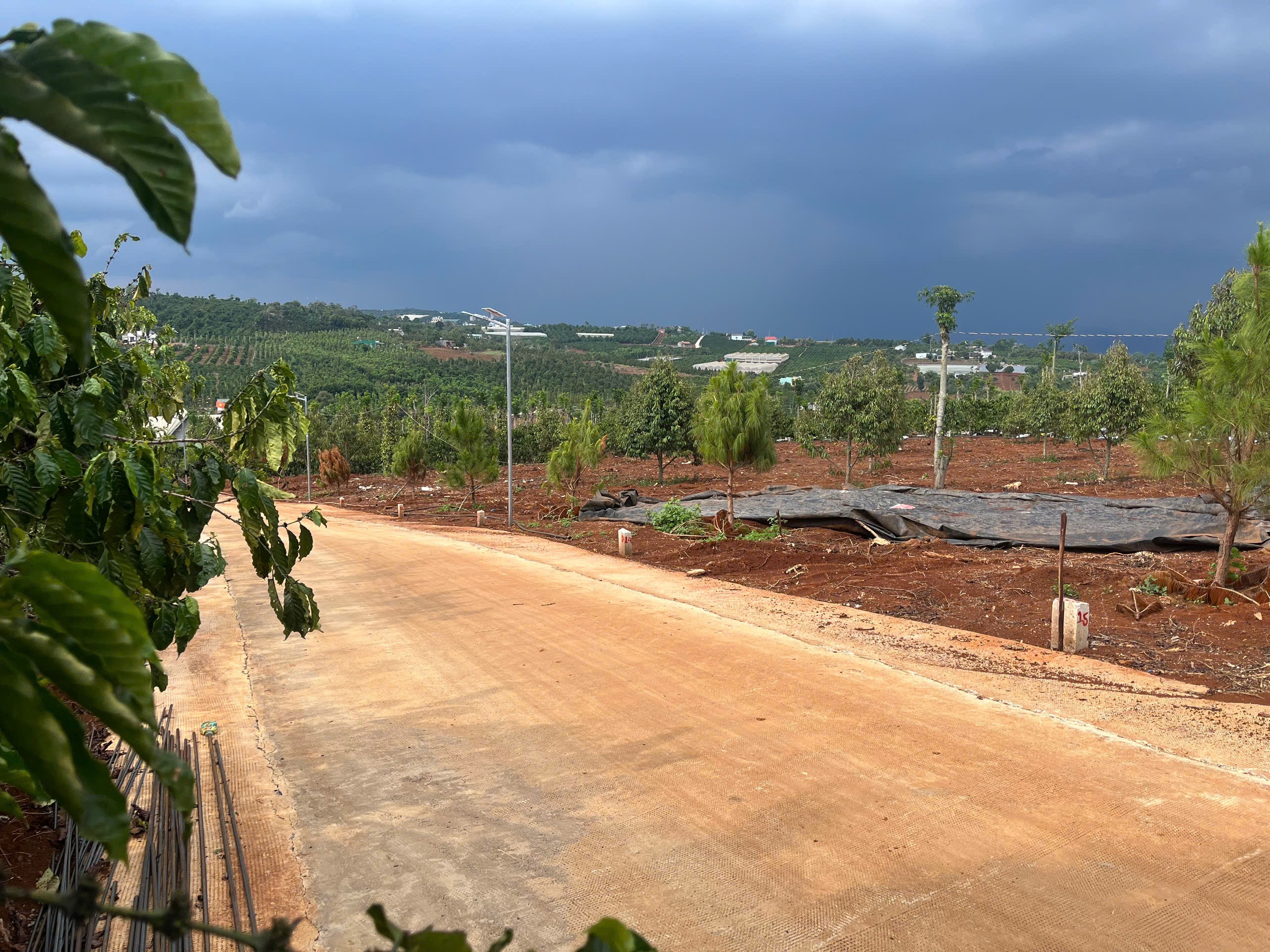 Cần bán Đất Xã Tân Hà Lâm Hà Diện tích 302m² Giá 495 Triệu Thổ Cư 177m² 3