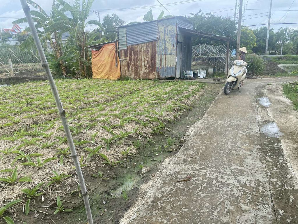 Cần bán Đất đường Tân Liễu, Xã Hưng Long, Diện tích 2300m², Giá 13 Tỷ