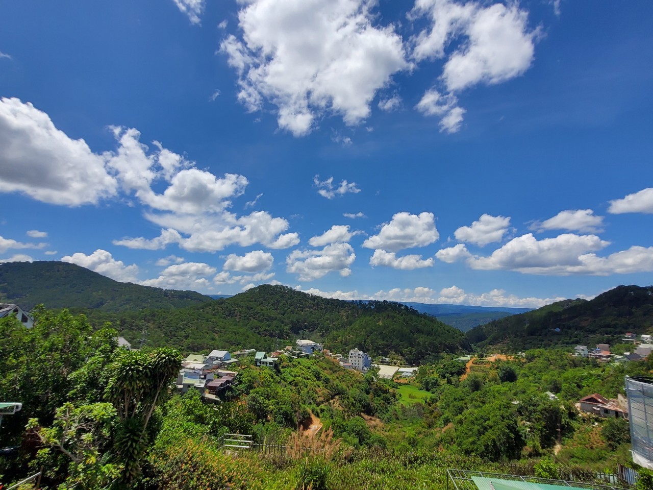 Cần Bán gấp Đất rộng view siêu đẹp thích hợp xây Homestay, Khách Sạn đường Hoàng Hoa Thám 1230m2 4