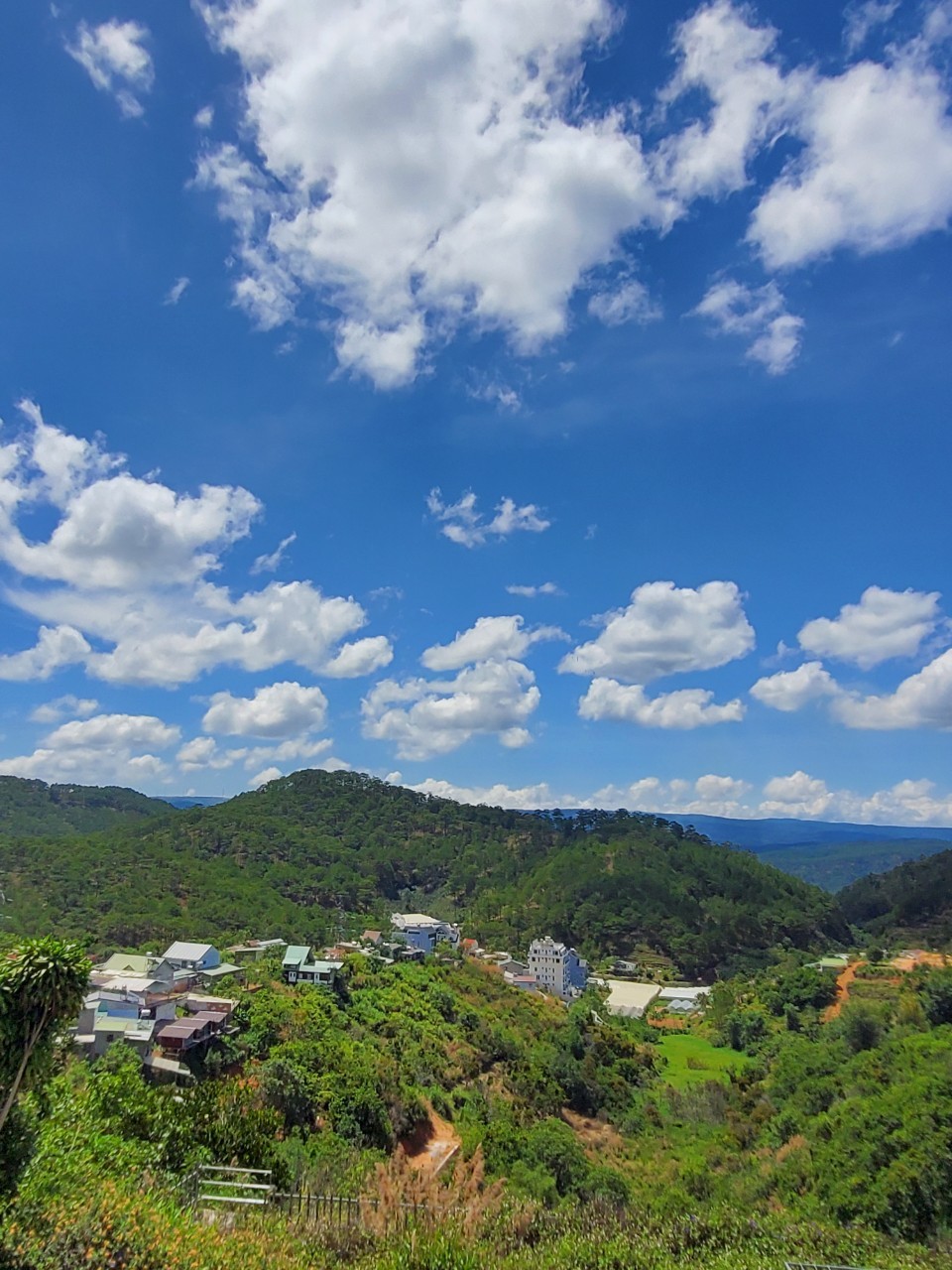 Cần Bán gấp Đất rộng view siêu đẹp thích hợp xây Homestay, Khách Sạn đường Hoàng Hoa Thám 1230m2 3