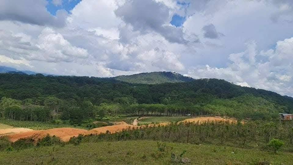 CẦN BÁN GẤP LÔ ĐẤT VIEW ĐẸP TẠI ĐASAR - LẠC DƯƠNG 4900m2 giá chỉ 3 tỷ 3
