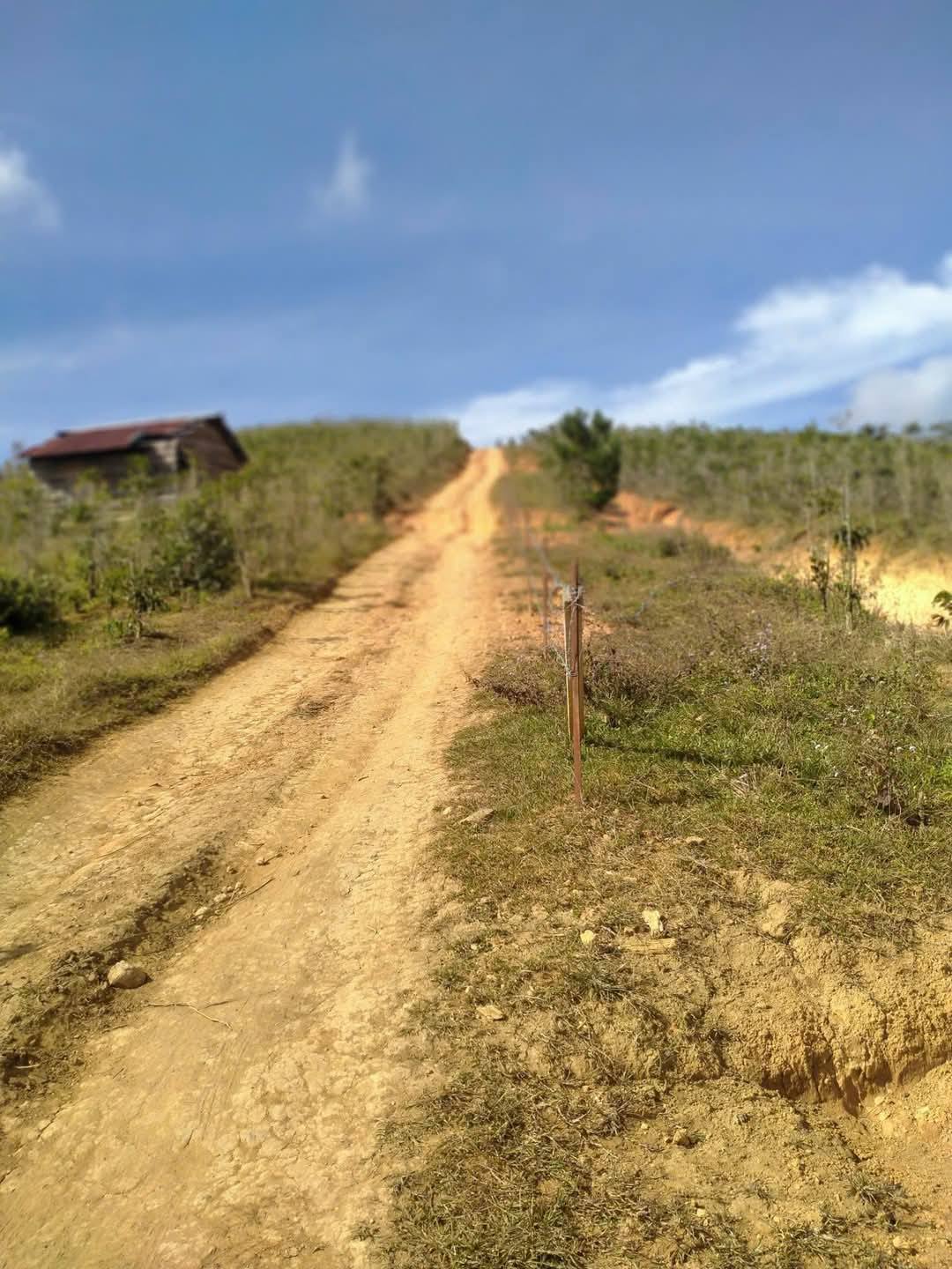 CẦN BÁN GẤP LÔ ĐẤT VIEW ĐẸP TẠI ĐASAR - LẠC DƯƠNG 4900m2 giá chỉ 3 tỷ 2