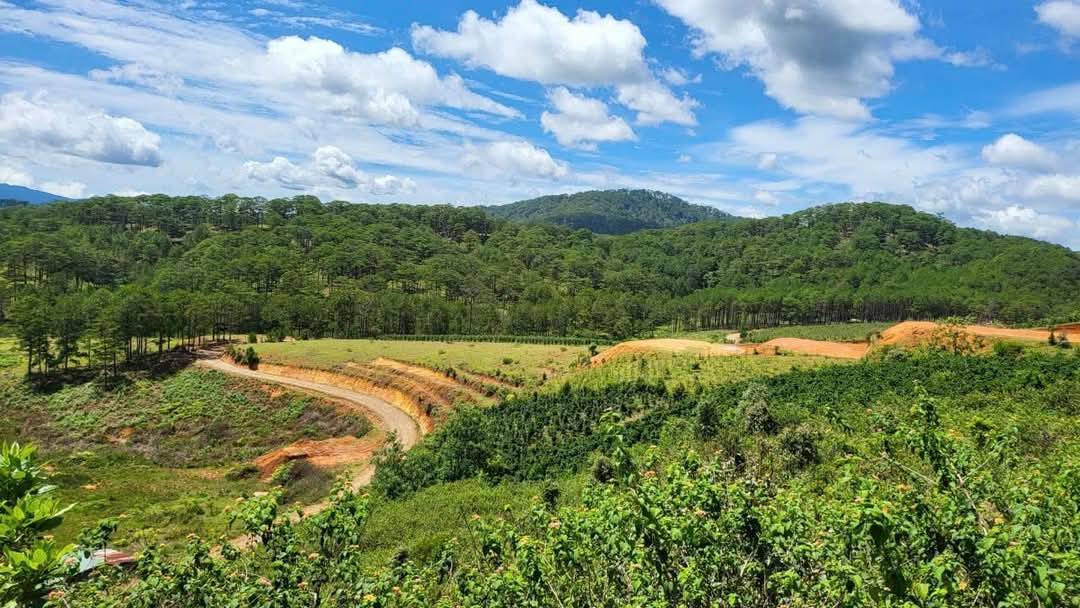 CẦN BÁN GẤP LÔ ĐẤT VIEW ĐẸP TẠI ĐASAR - LẠC DƯƠNG 4900m2 giá chỉ 3 tỷ