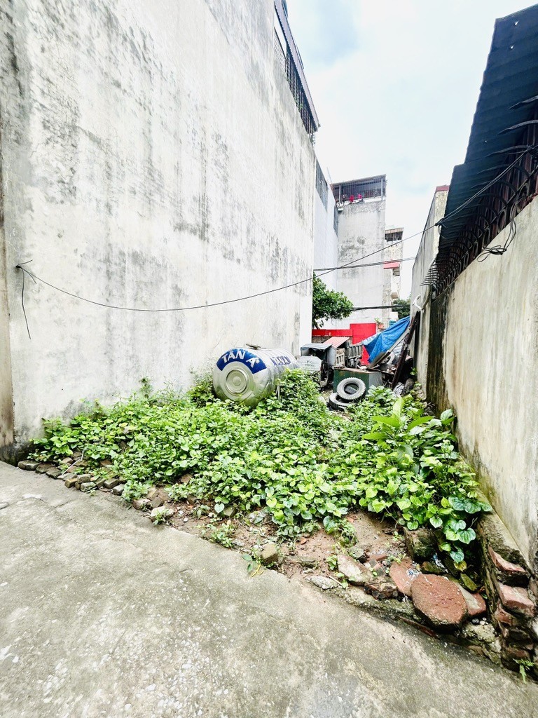 Cần bán Đất đường Thúy Lĩnh, Phường Thanh Trì, Diện tích 54m², Giá 6.98 Tỷ 3