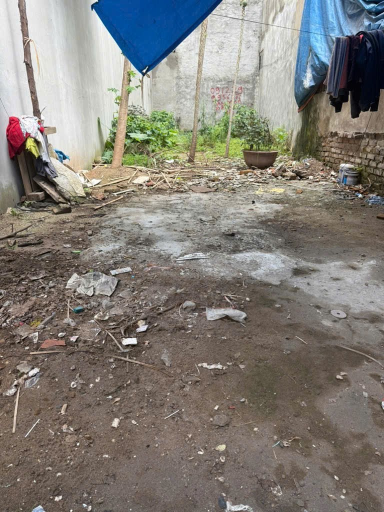Cần bán Đất đường Tam Trinh, Phường Yên Sở, Diện tích 62m², Giá 12.5 Tỷ 3