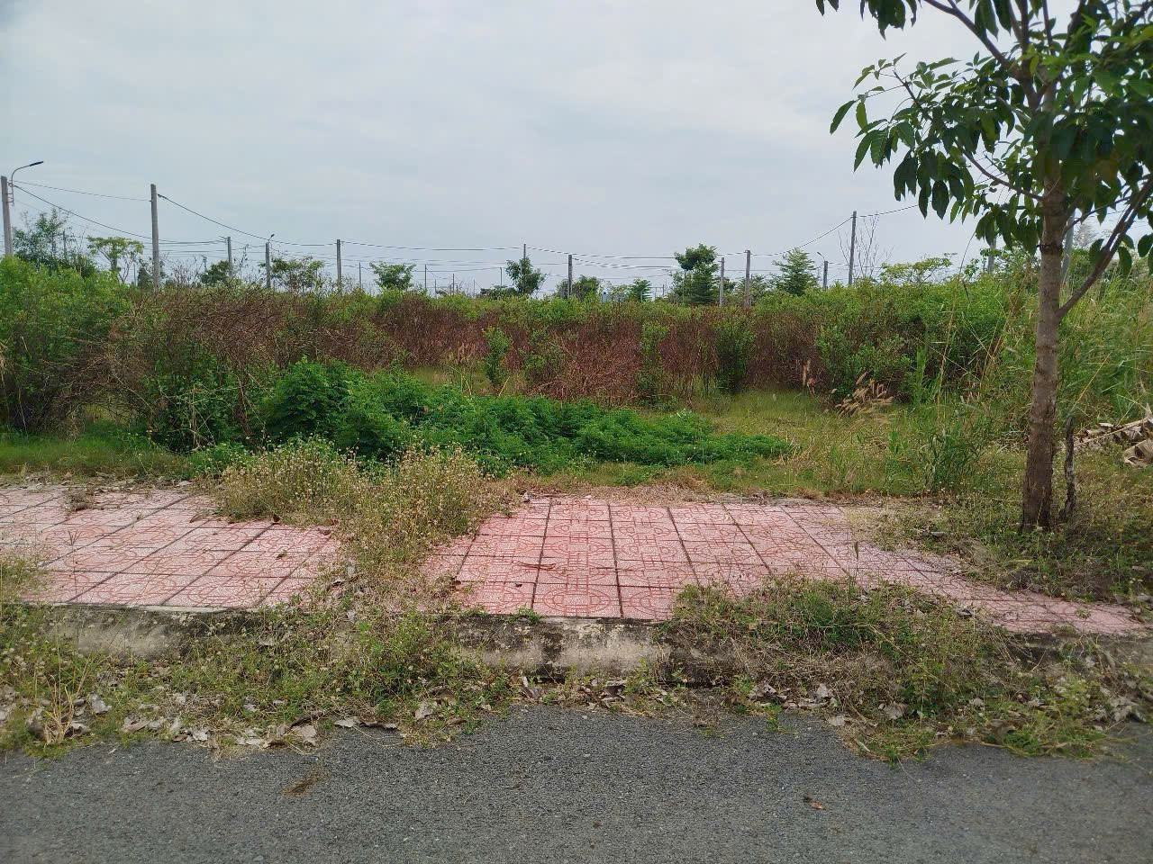 Đất nền kdc Tân Lân Residence 64m2 cần bán giá đầu tư 850tr 2
