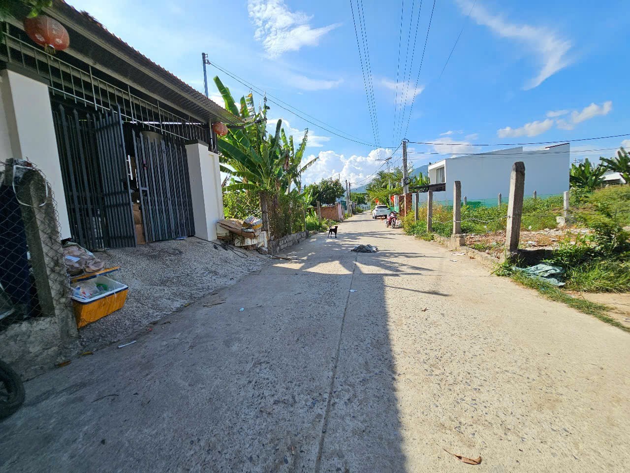 Bán đất Diên Phú mặt tiền đường Mẫu 7 giáp ranh Vĩnh Phương - Nha Trang 4