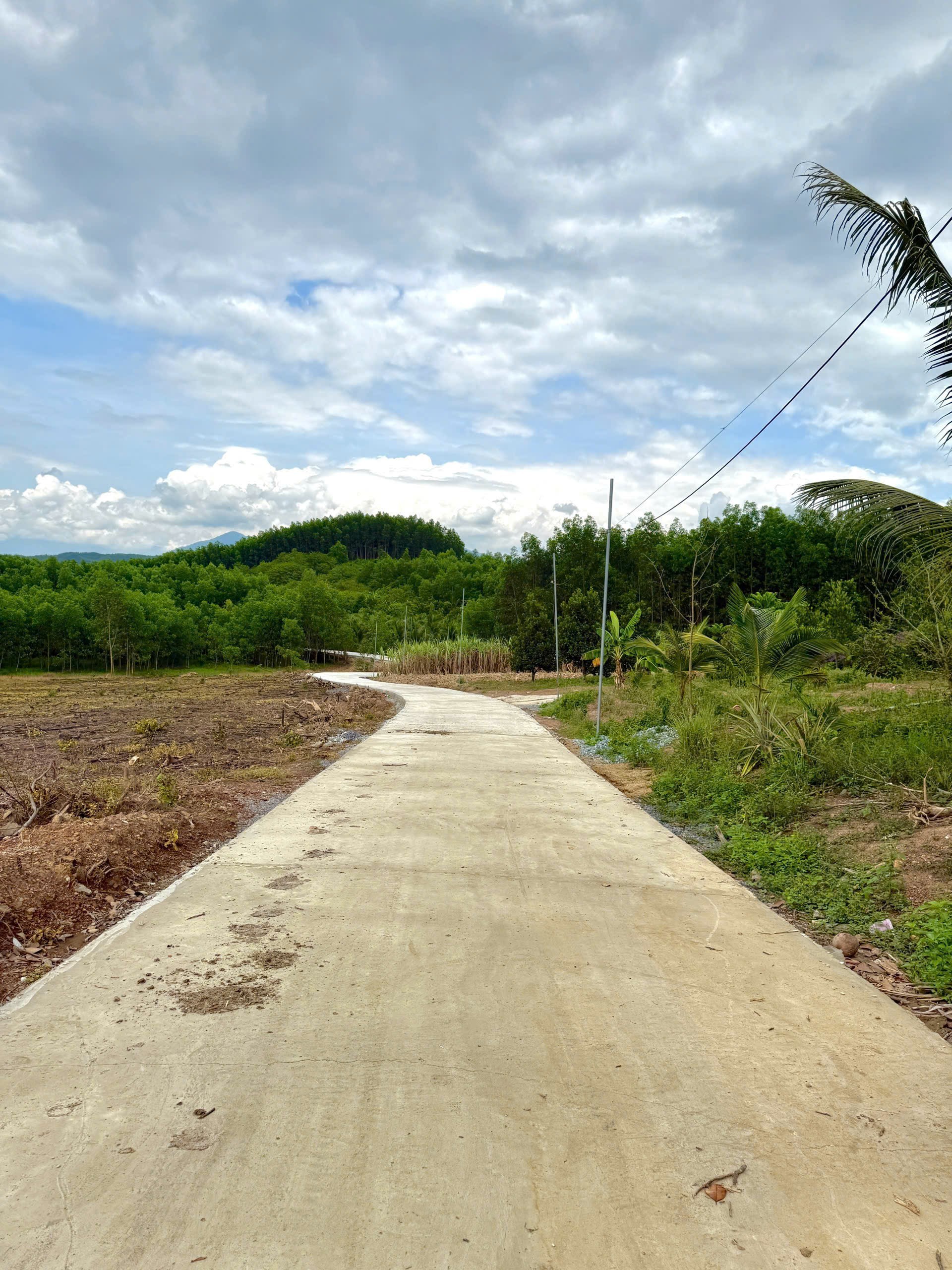 Bán đất vườn Diên Xuân giá rẻ cách khu dân cư chỉ 300m 5
