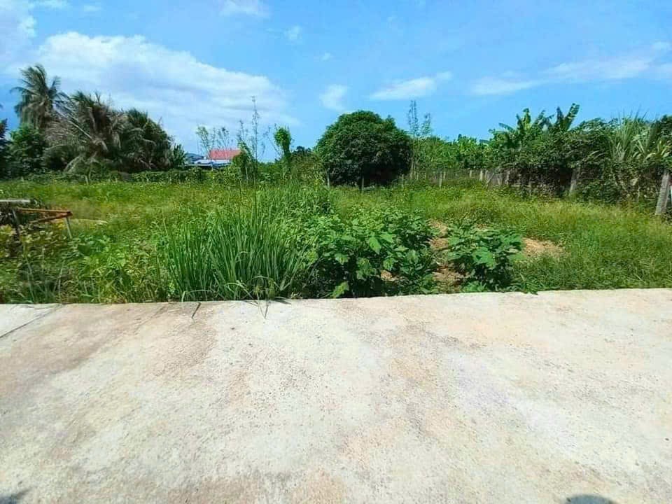 Bán đất Diên Lạc giá rẻ thôn Trường Lạc cách Tỉnh Lộ 2 chỉ 200m