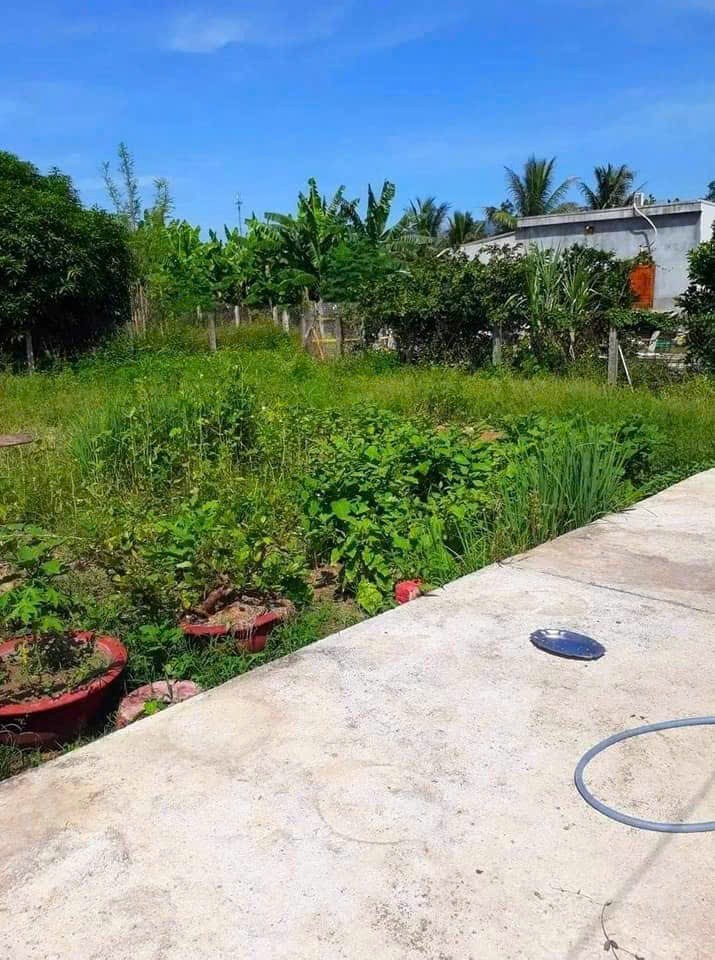 Bán đất Diên Lạc giá rẻ thôn Trường Lạc cách Tỉnh Lộ 2 chỉ 200m 3