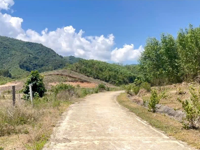 Bán lô góc Khánh Phú gần full thổ cư mặt đường bê tông phù hợp đầu tư phân lô 3