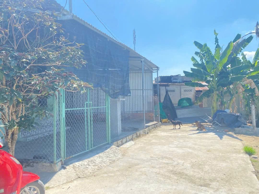 Bán nhà Suối Hiệp giá rẻ thôn Phú Hậu - full thổ cư 2
