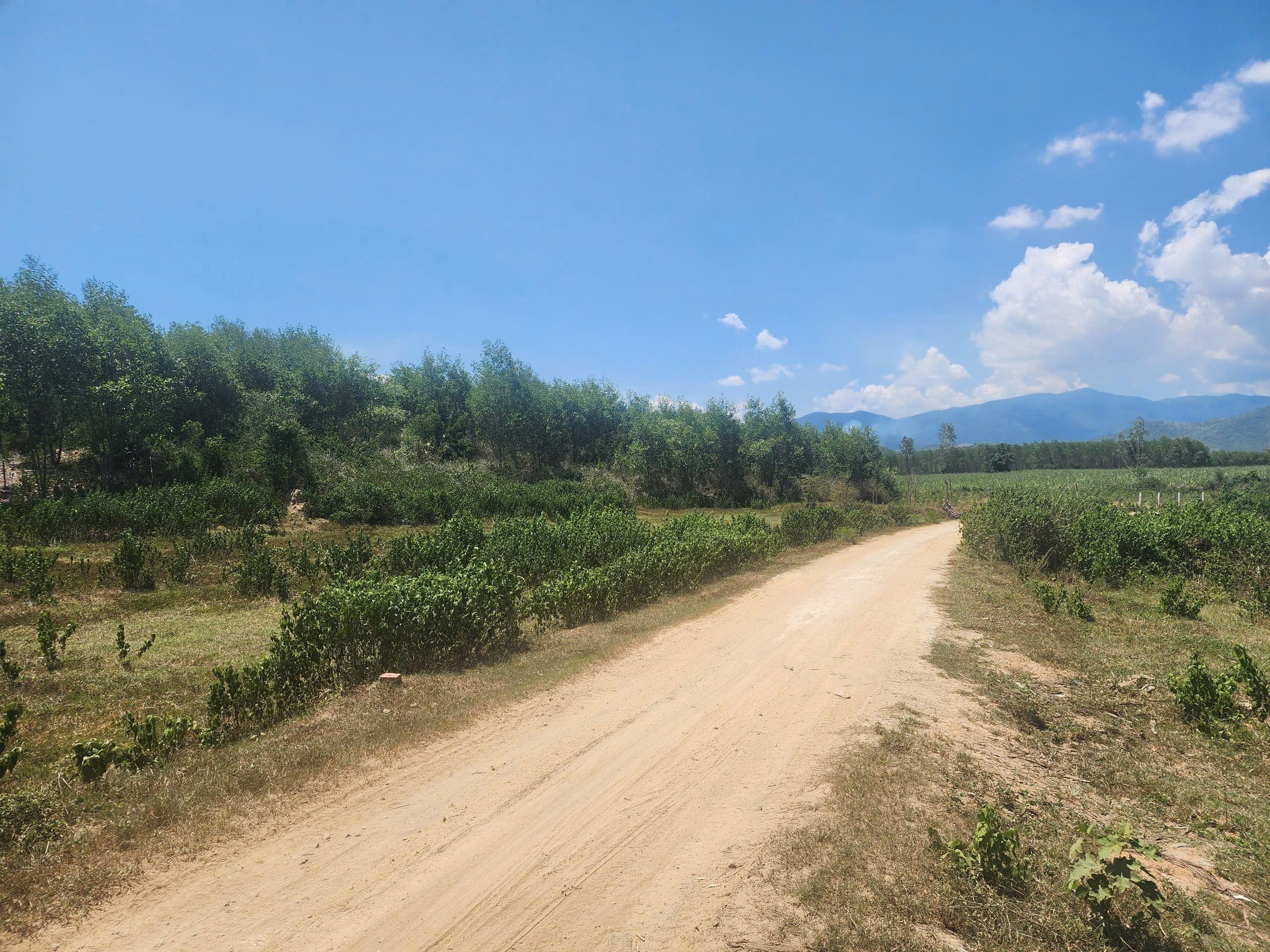 Bán đất vườn Diên Đồng giá rẻ mặt đường bê tông thông thoáng 2
