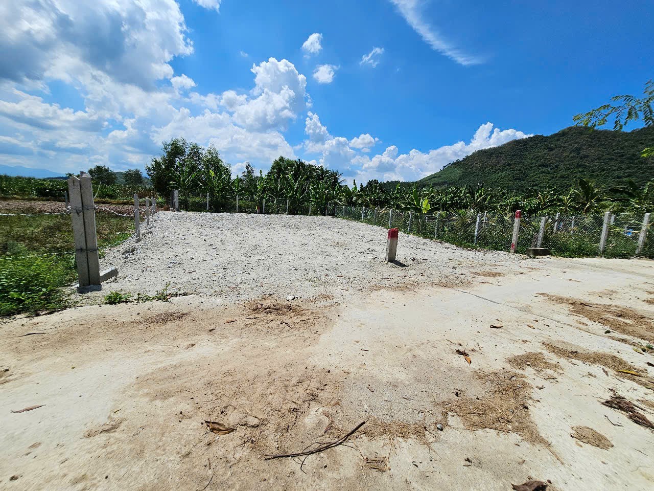 Bán đất Diên Tân giá rẻ full thổ cư sát bên Hương Lộ 62