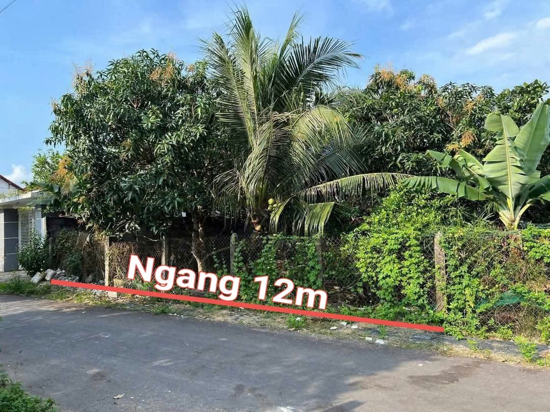 Bán đất Suối Tiên mặt tiền đường nhựa thông thoáng gần Hương Lộ 39 - tặng vườn cây trái 2