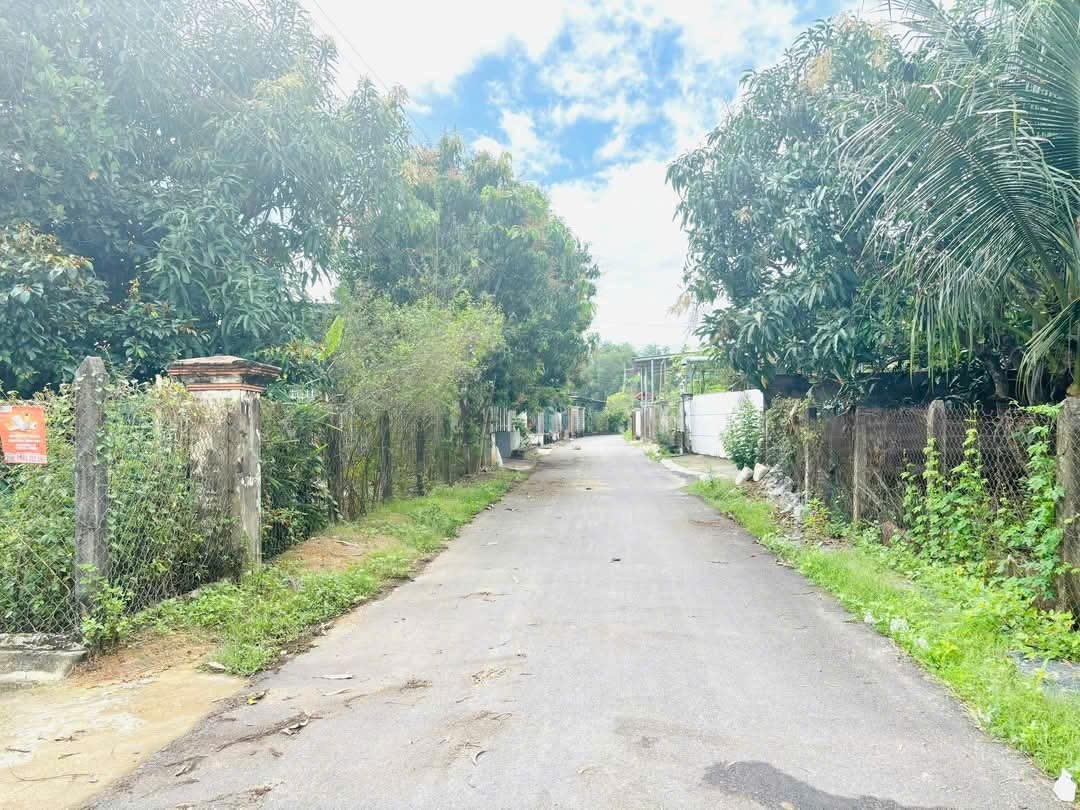 Bán đất Suối Tiên mặt tiền đường nhựa thông thoáng gần Hương Lộ 39 - tặng vườn cây trái 4