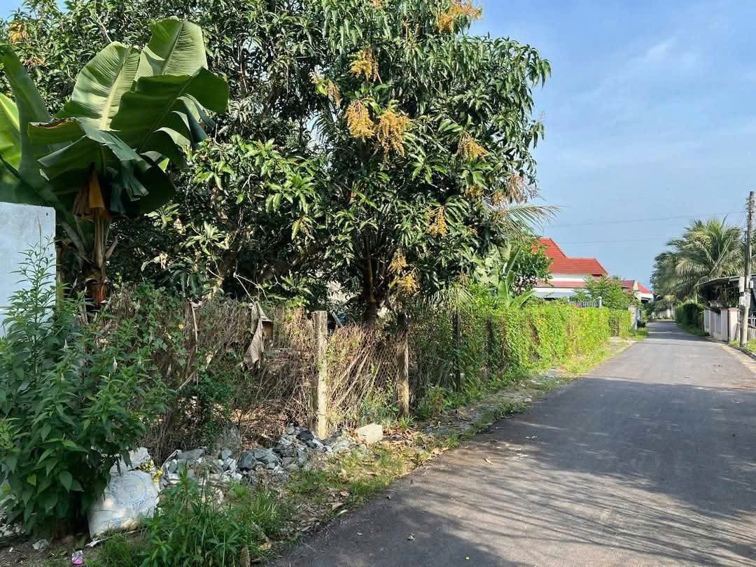 Bán đất Suối Tiên mặt tiền đường nhựa thông thoáng gần Hương Lộ 39 - tặng vườn cây trái 5
