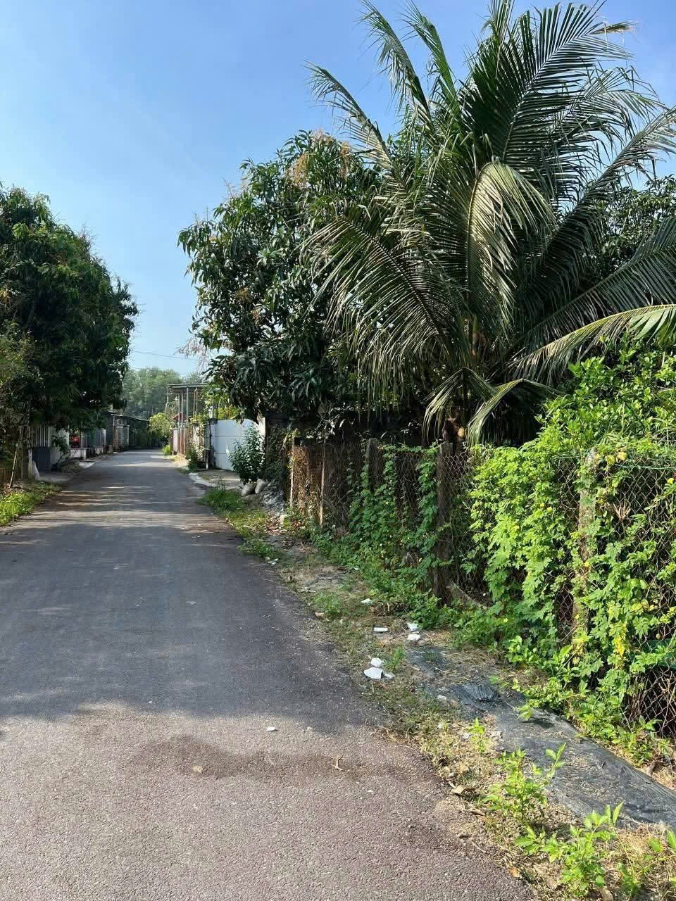 Bán đất Suối Tiên mặt tiền đường nhựa thông thoáng gần Hương Lộ 39 - tặng vườn cây trái 6