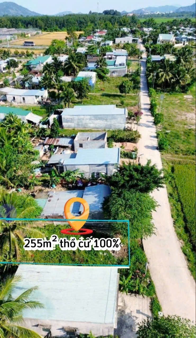 Bán đất Suối Cát - Cam Lâm full thổ sát bên Tỉnh Lộ 3 điểm xuống cao tốc Bắc Nam 6