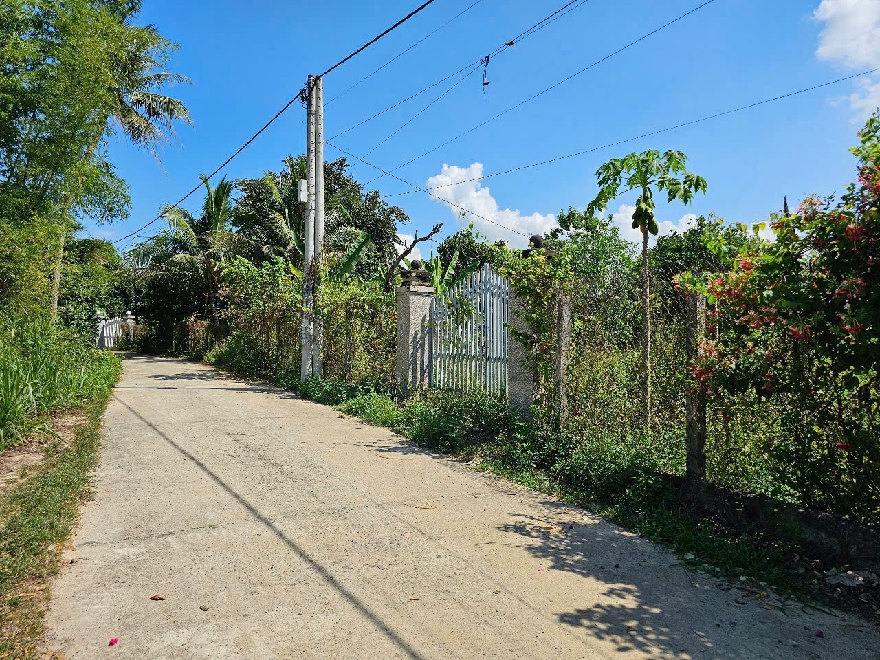 Bán đất Diên Hoà thôn Quang Thạnh view suối cực thoáng mát phù hợp xây nhà vườn nghỉ dưỡng 6