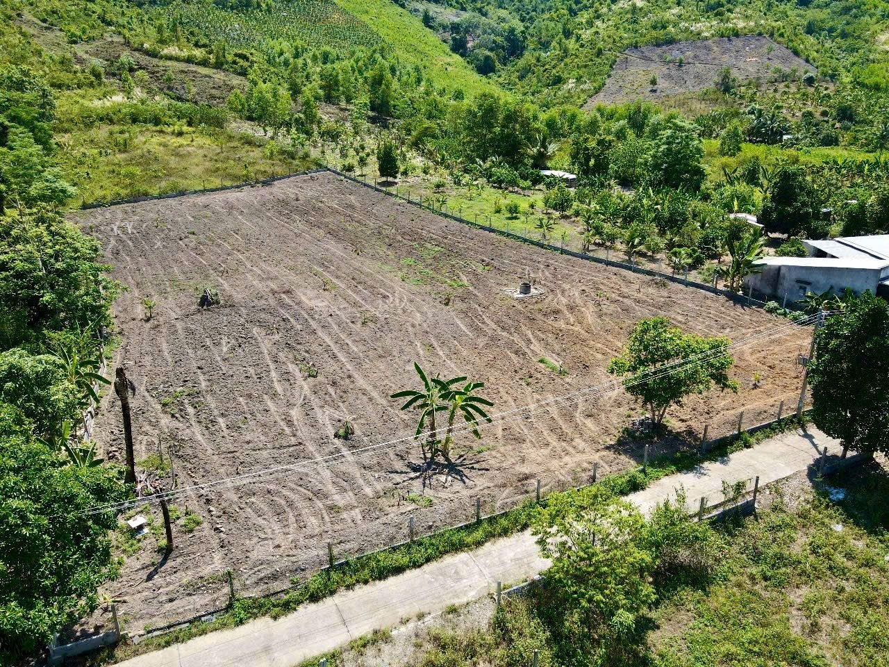 Bán đất Diên Tân gần Hương Lộ 62 - rộng rãi thích hợp xây nhà vườn