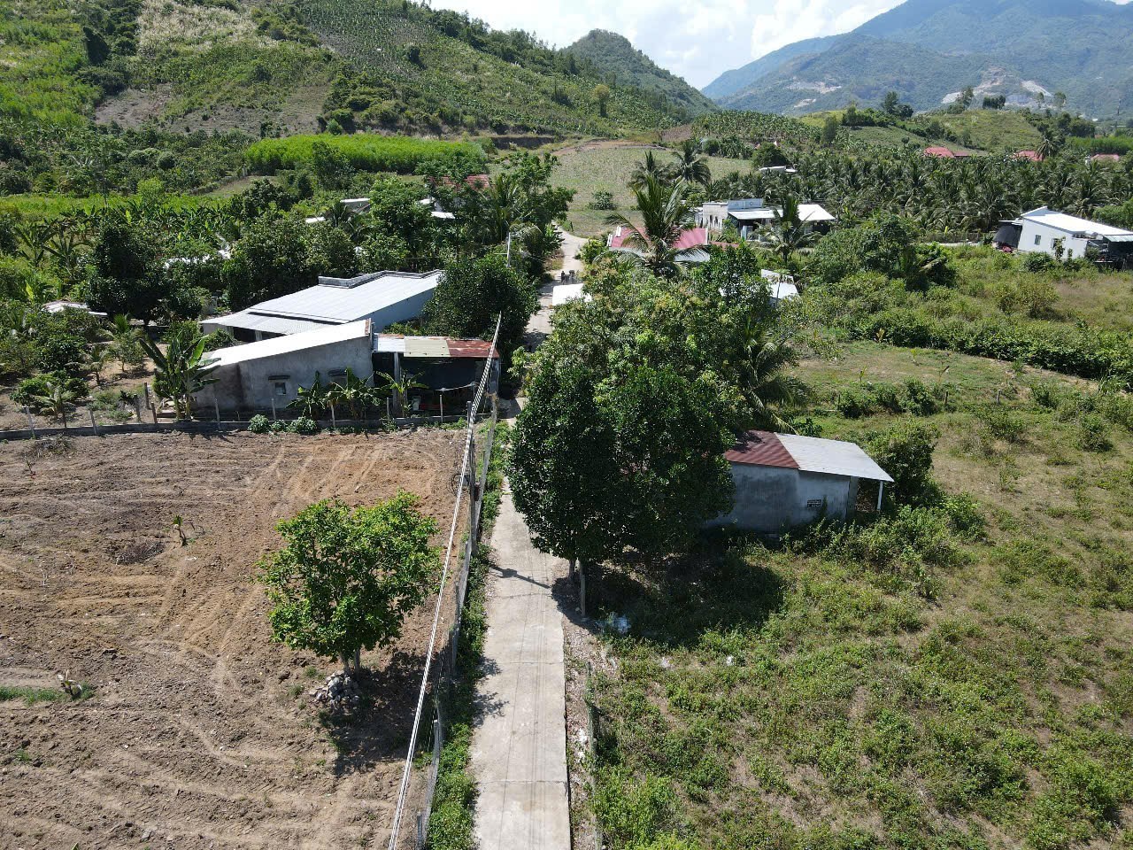 Bán đất Diên Tân gần Hương Lộ 62 - rộng rãi thích hợp xây nhà vườn 4