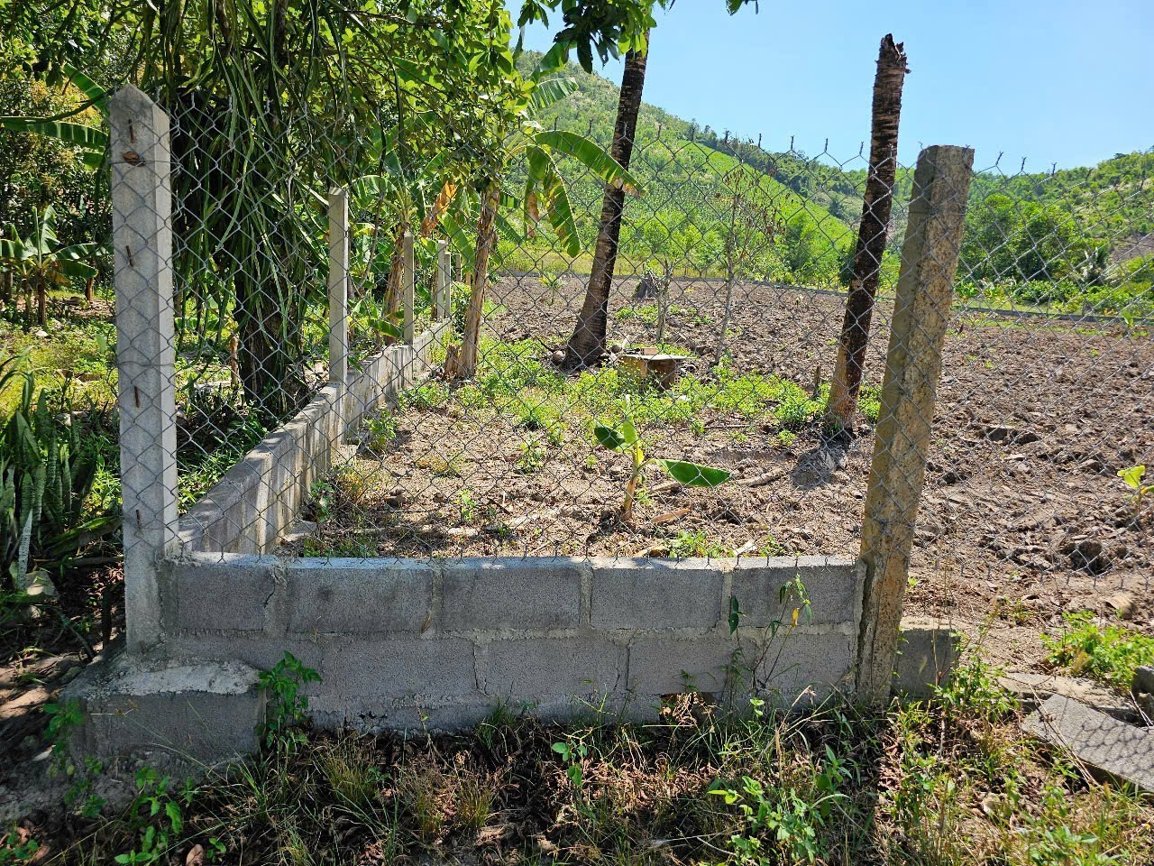 Bán đất Diên Tân gần Hương Lộ 62 - rộng rãi thích hợp xây nhà vườn 5