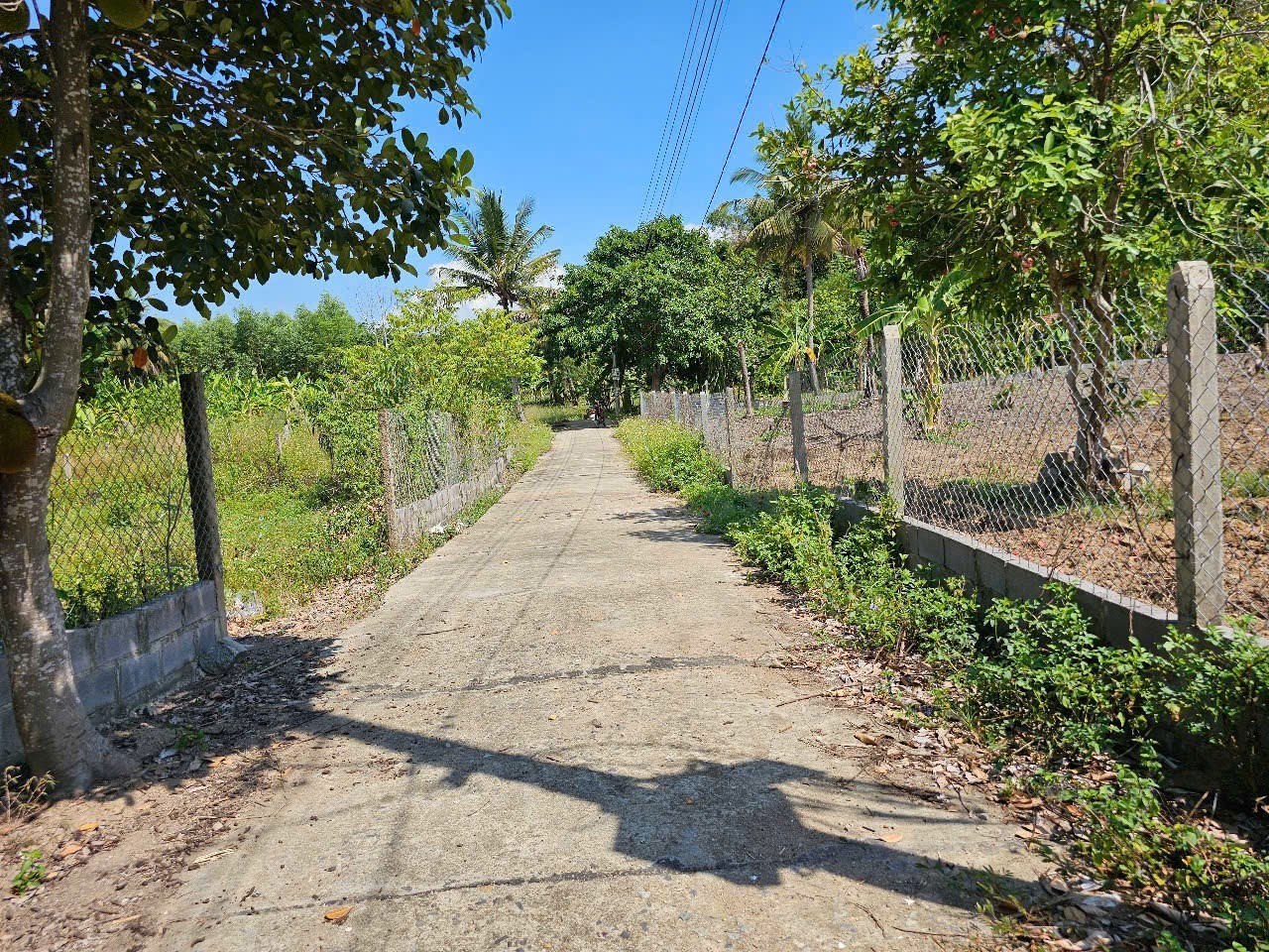Bán đất Diên Tân gần Hương Lộ 62 - rộng rãi thích hợp xây nhà vườn 7