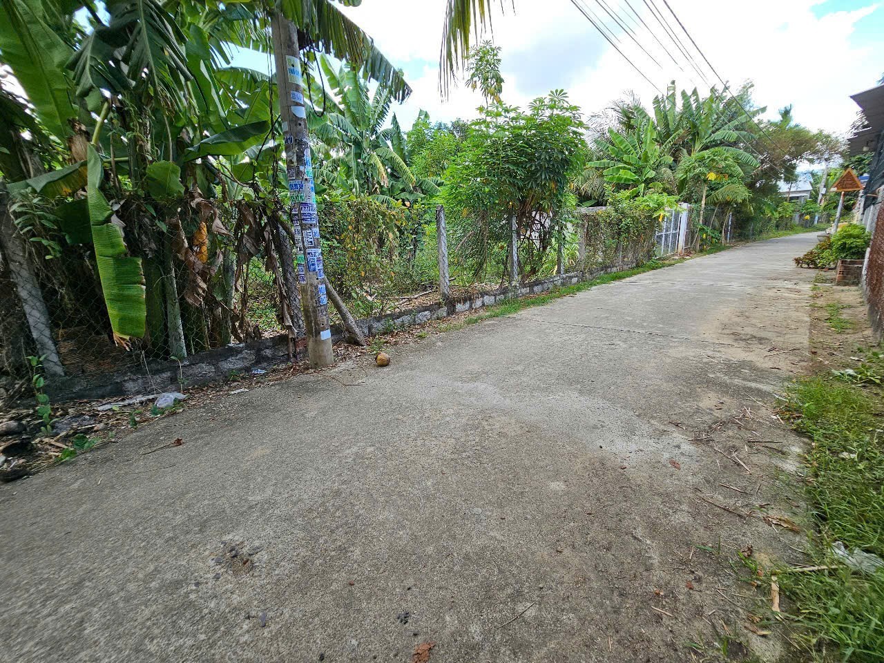 Bán đất Diên An mặt đường bê tông 5.5m thông gần Võ Nguyên Giáp 2