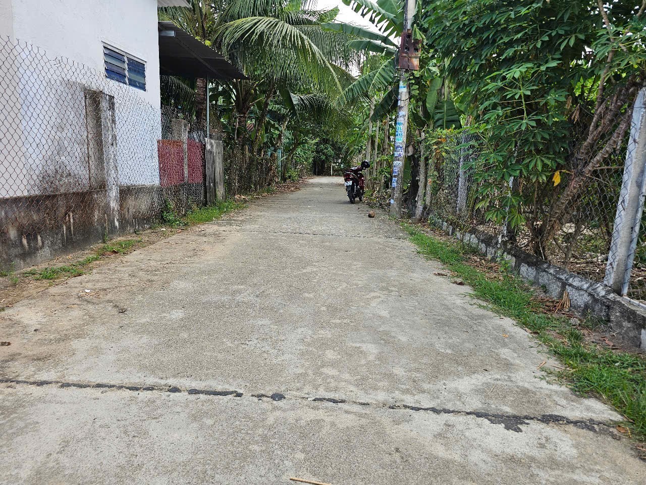 Bán đất Diên An mặt đường bê tông 5.5m thông gần Võ Nguyên Giáp 3