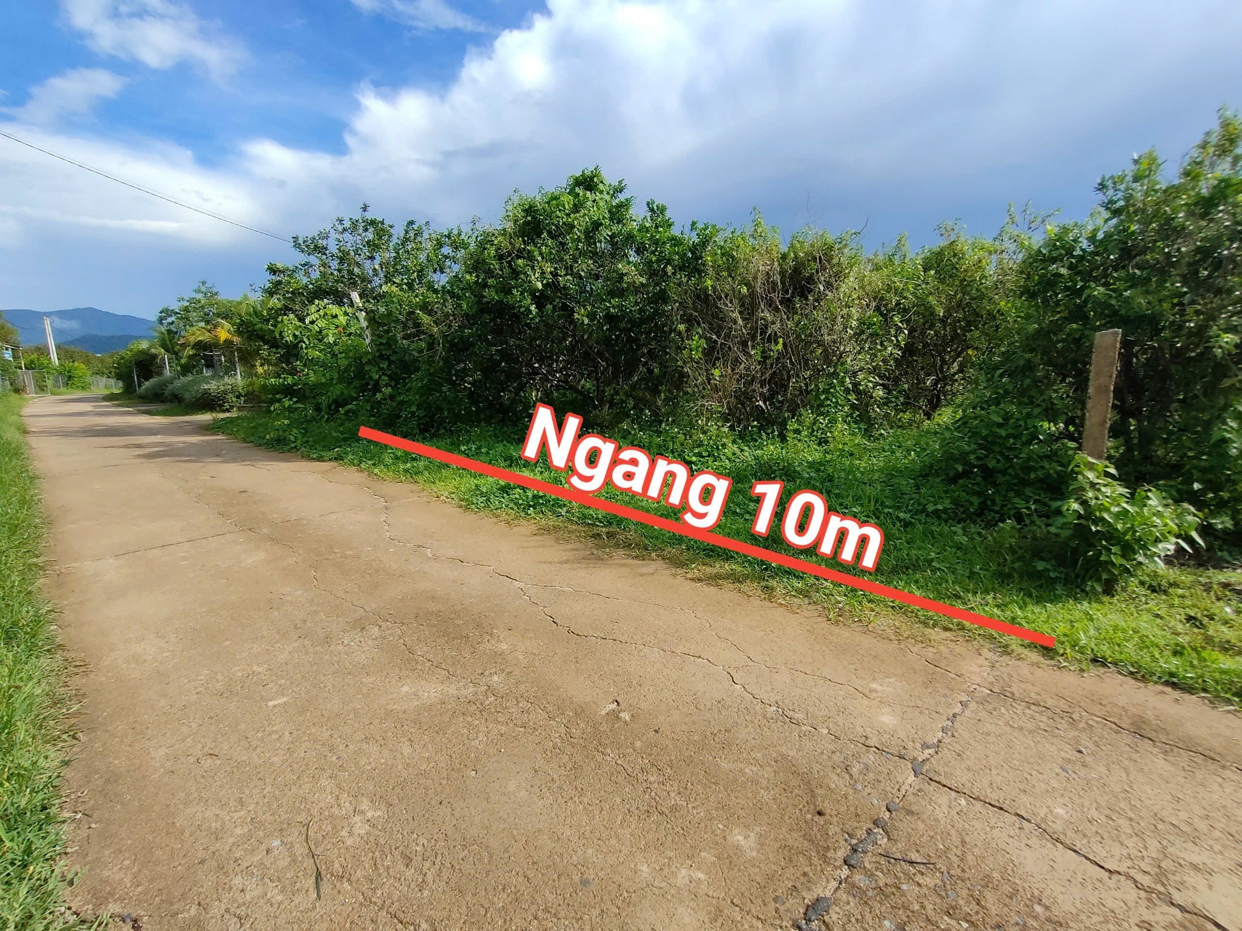 Bán vườn bưởi Sông Cầu QH thổ cư ngay trung tâm hành chính xã