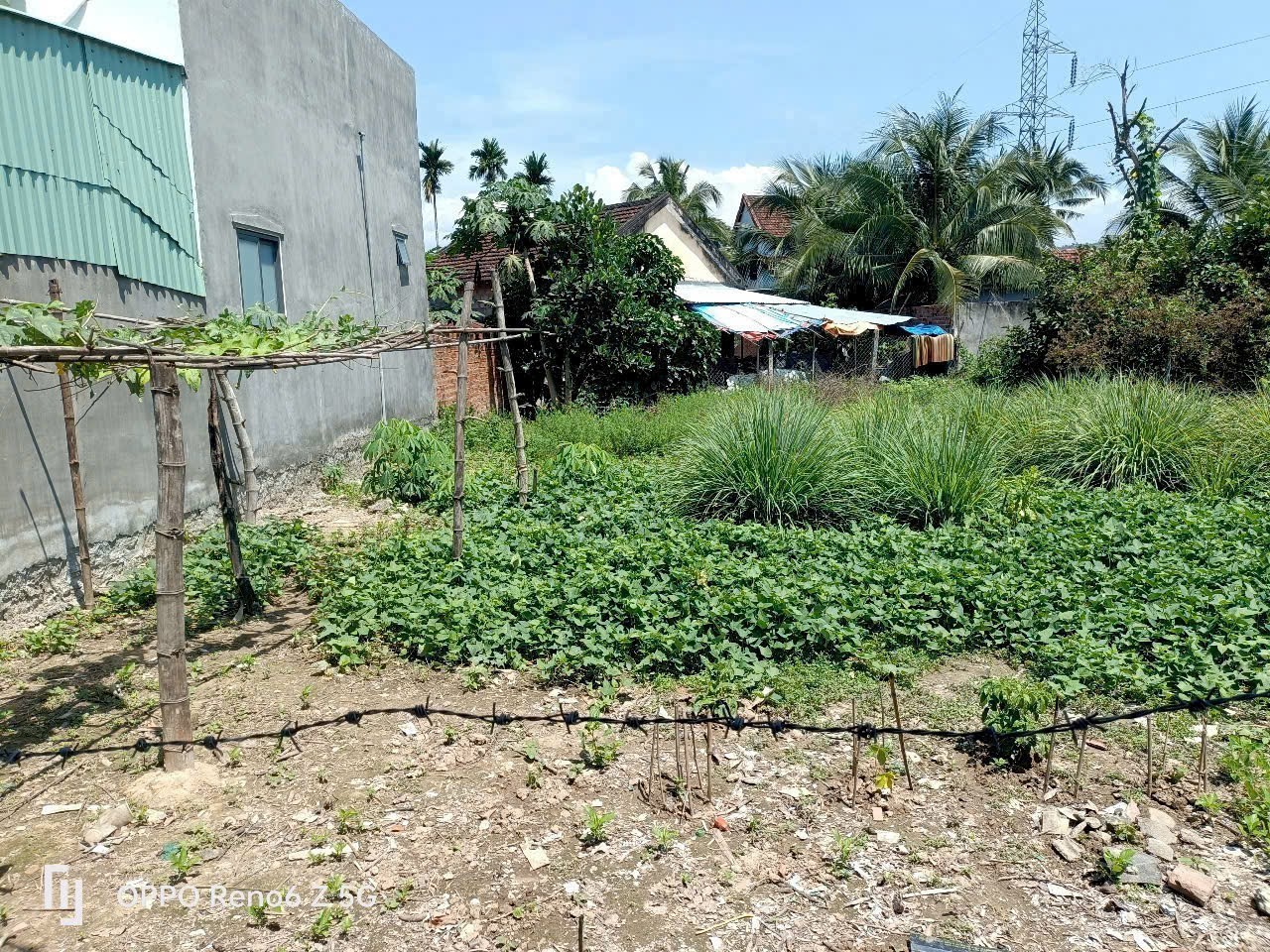 Bán đất Diên Hoà giá rẻ full thổ cư - thôn Quang Thạnh gần Hương Lộ 39 3