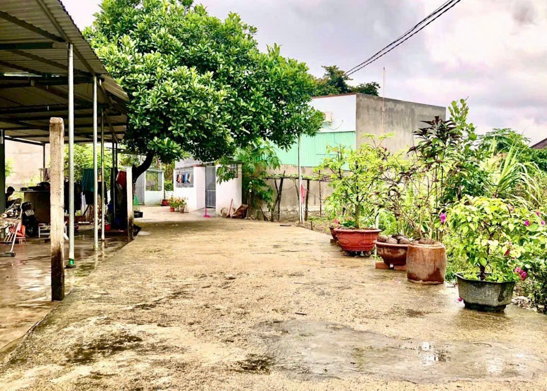 Bán đất Diên Hoà giá rẻ full thổ cư - thôn Quang Thạnh gần Hương Lộ 39 5